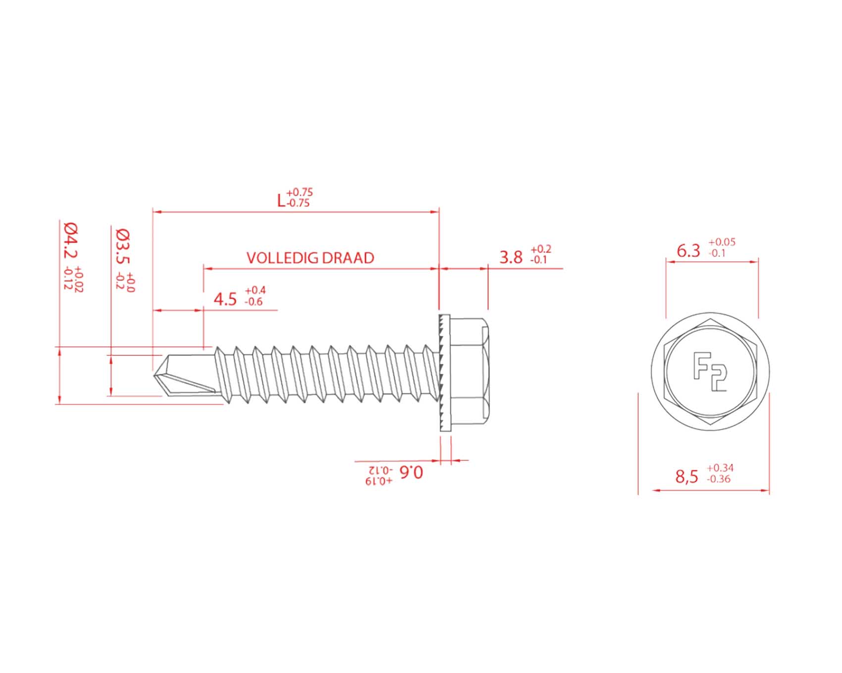 Zelftappende schroeven wit (100 stuks) - Afbeelding 2